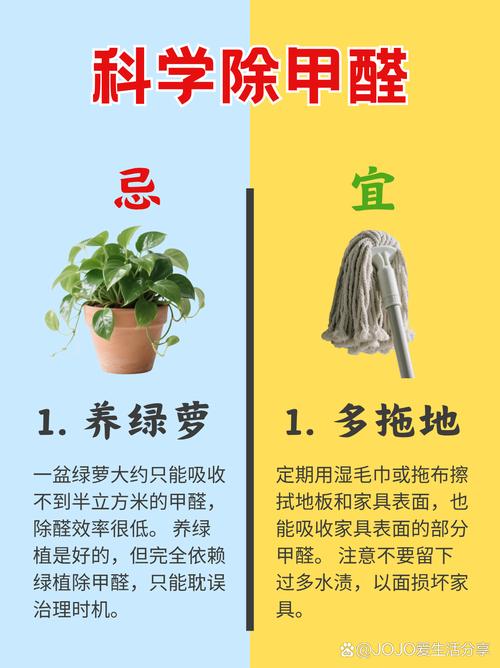 🌿 环保与入住：别让甲醛耽误出租