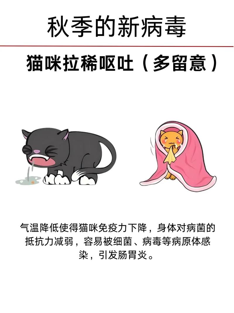 猫能喝牛奶吗?宠物喂养中那些你以为对却大错特错的习惯-我问答网