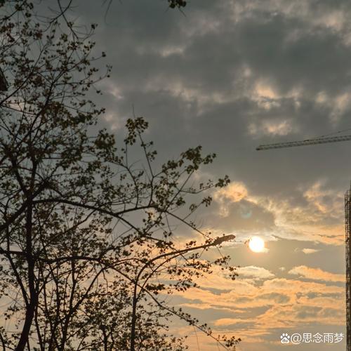 藏在日子里的节拍