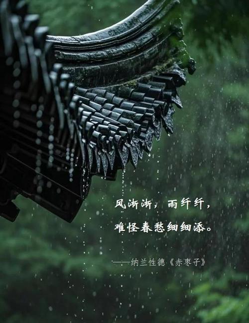 细雨在文学里从来不是雨，是情绪药引