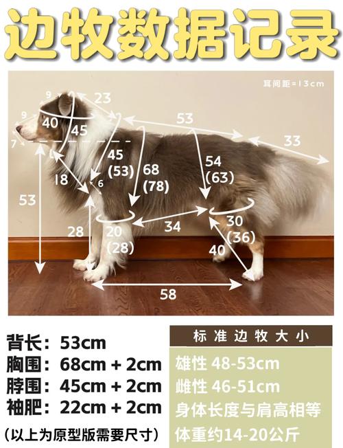 不同体型狗狗胸背带测量参考示意图