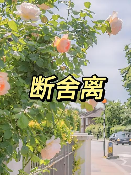 教学里要舍掉什么