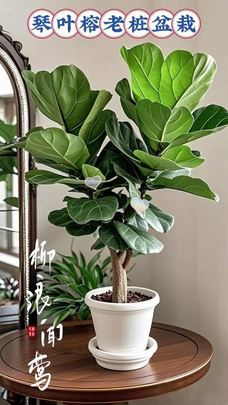 根须的无声战争:我花了三年才读懂植物的秘密-因为所以