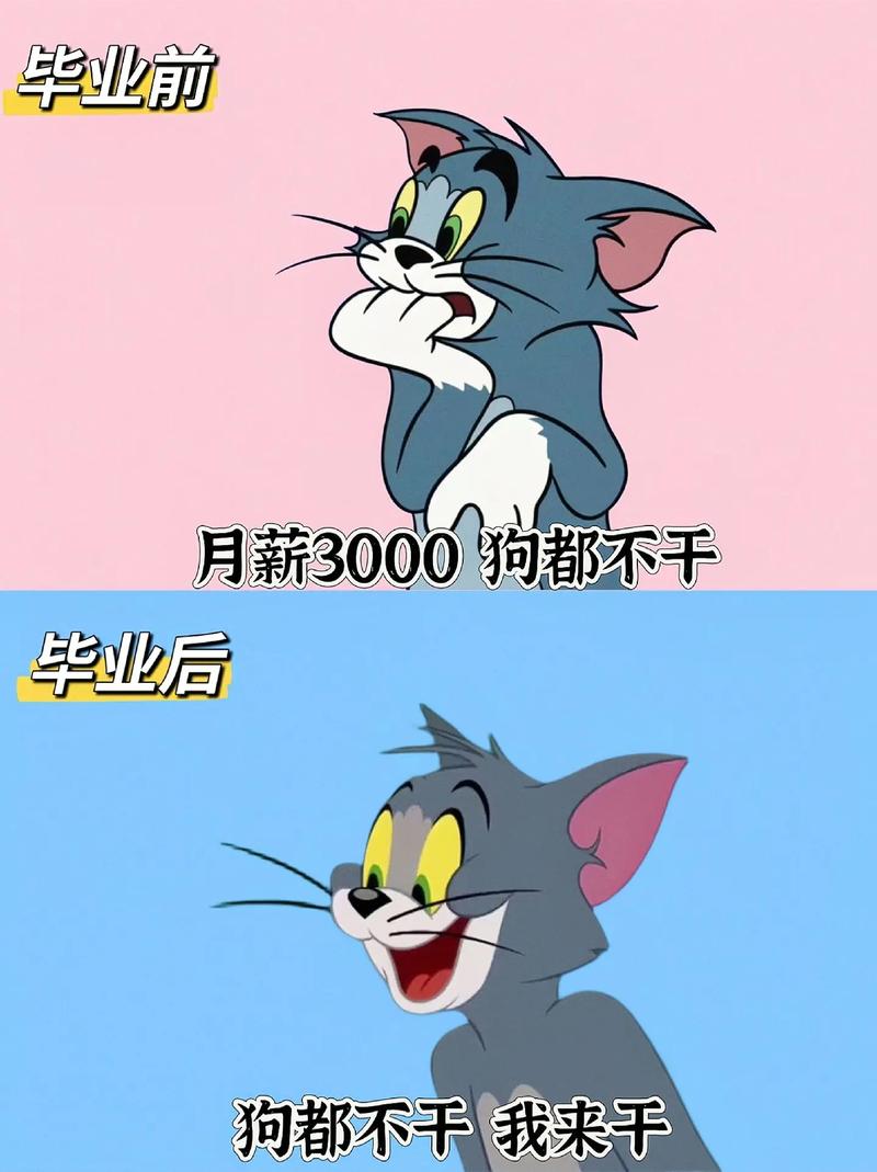 三、毕业分配:理想很丰满,现实很骨感