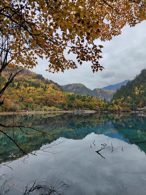 九寨沟五花海秋季清晨钙化岸坡落叶