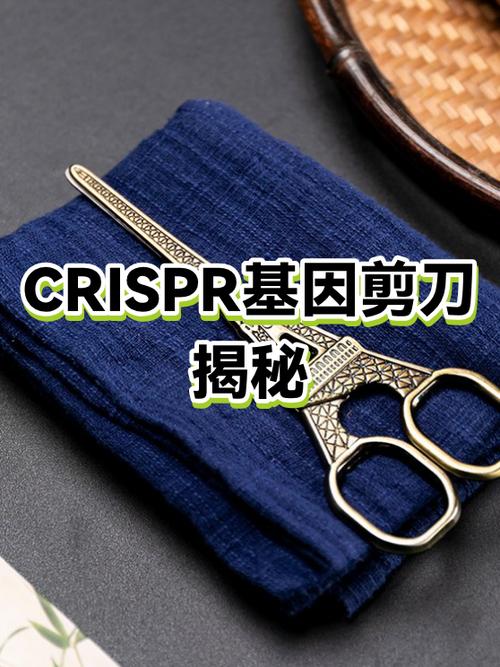 基因剪刀剪出了新花样，但伦理这关过得去吗？
