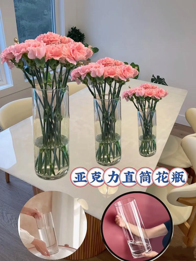 康乃馨花束透明玻璃花瓶家居场景