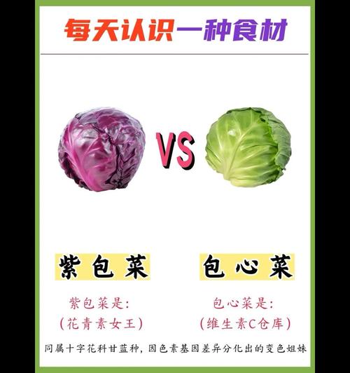 菜品实物与宣传图片严重不符的对比图