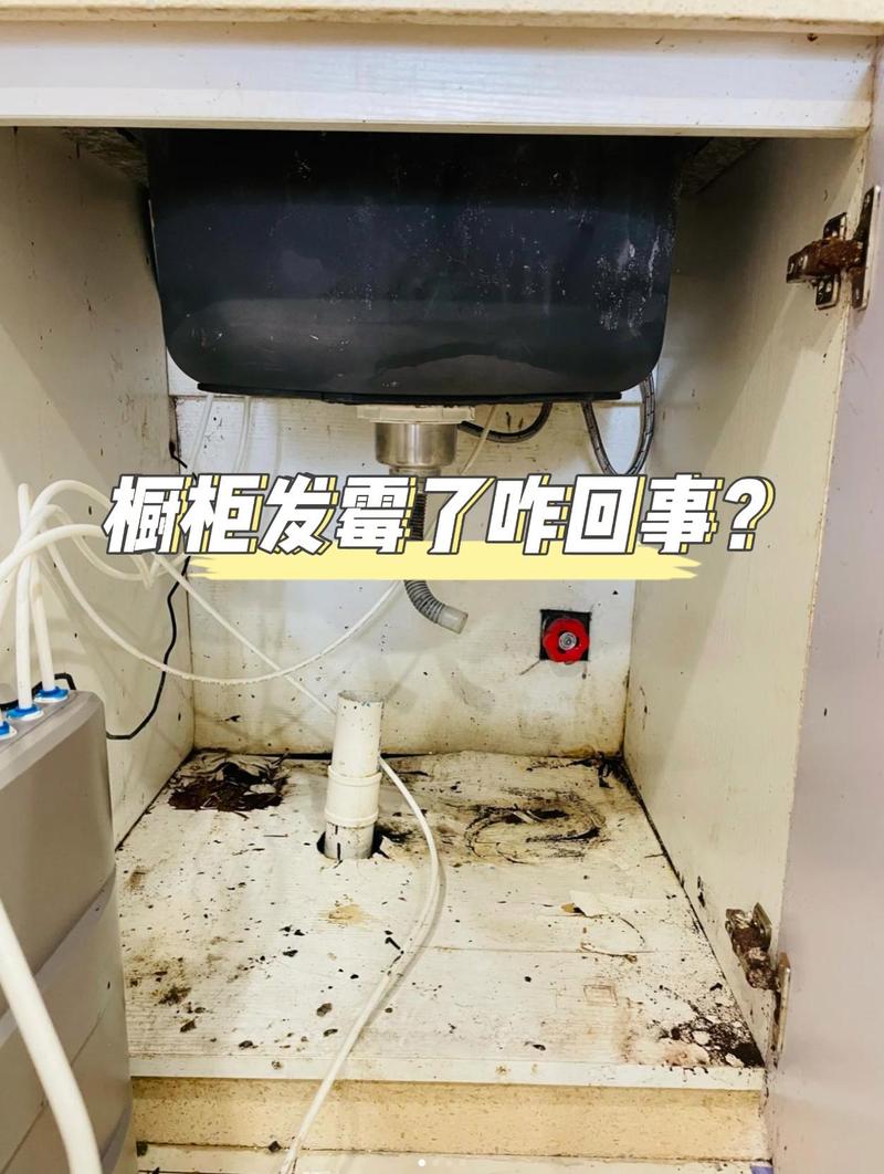 家庭厨房橱柜转角发霉场景图