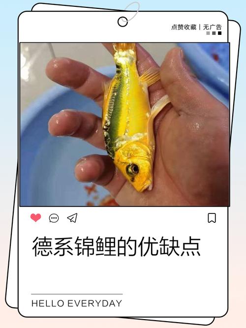 培育不是发广告，是养鱼