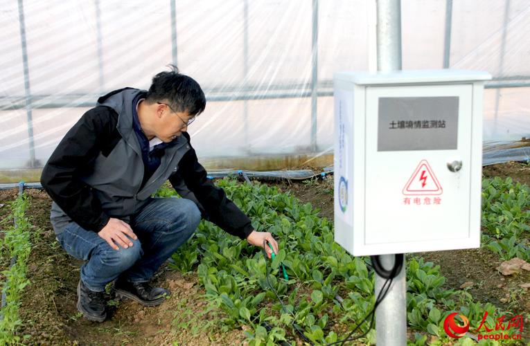 我们聊点真的：智慧农业技术到底解决了谁的痛点？