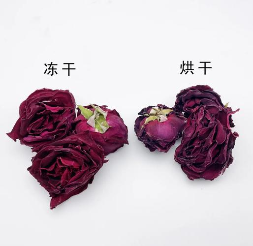 正常干花与发霉干花天然香氛对比图