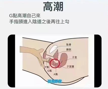 🌍 涨姿势还不用动脑子