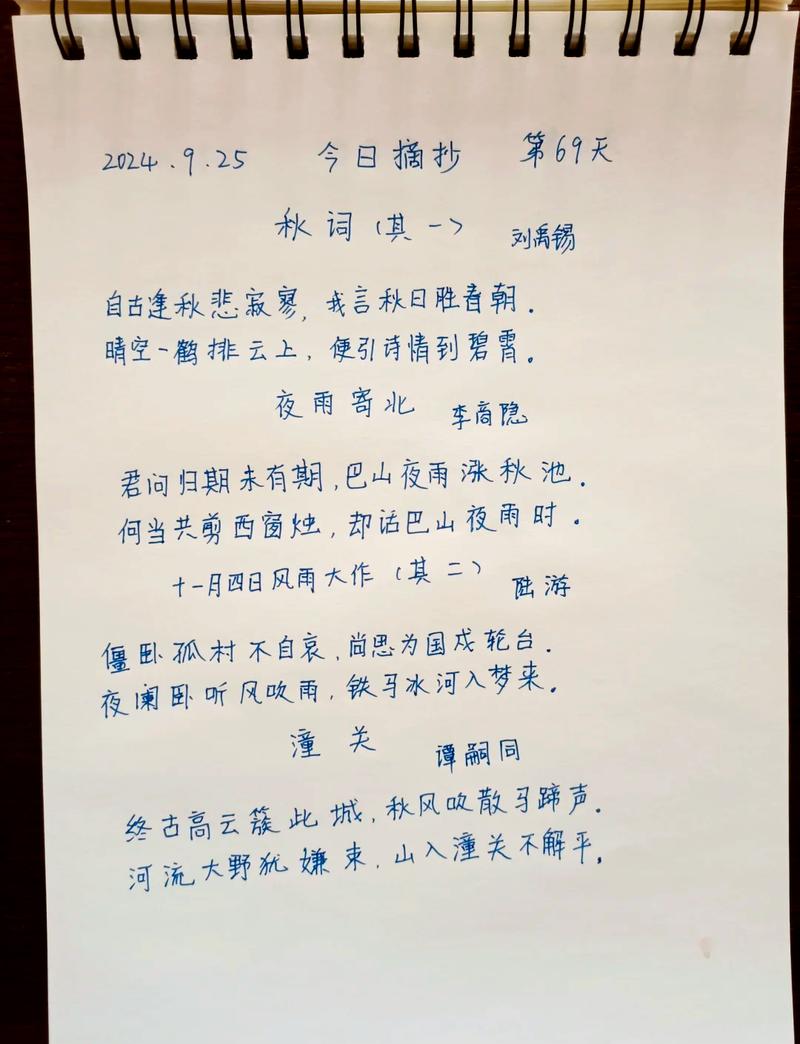 秋日江边落木诗歌手账实拍