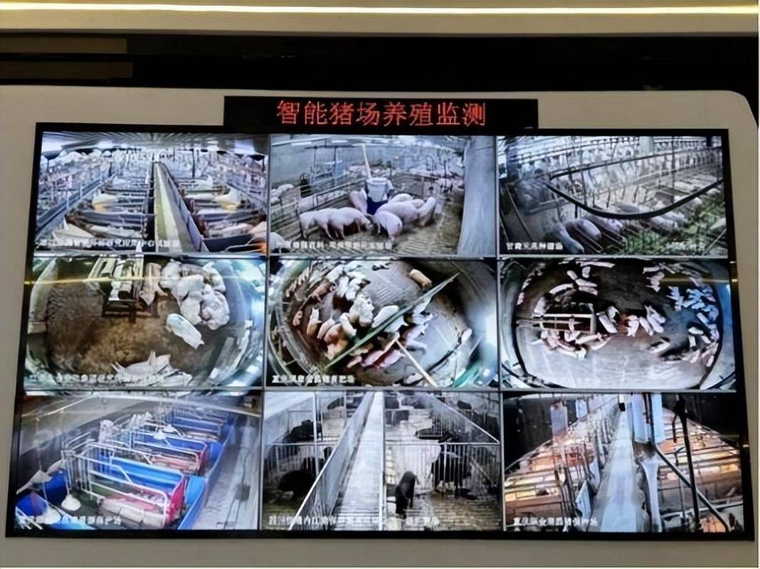 数字经济来了,但你的饭碗真的稳吗?-如东教育网