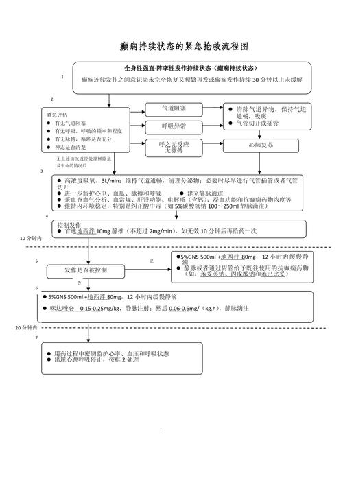 宠物癫痫发作居家急救步骤图