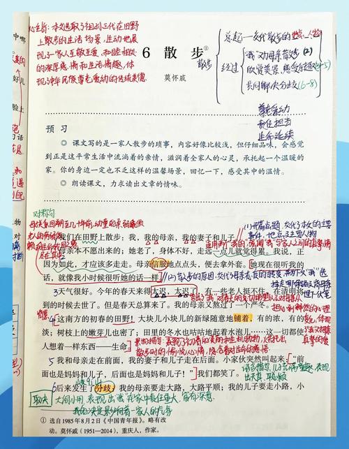 我们为什么总把散步搞得像完成任务