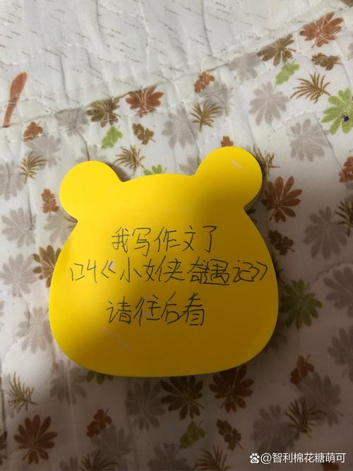 改完三个月,我捡到了好多零碎的开心