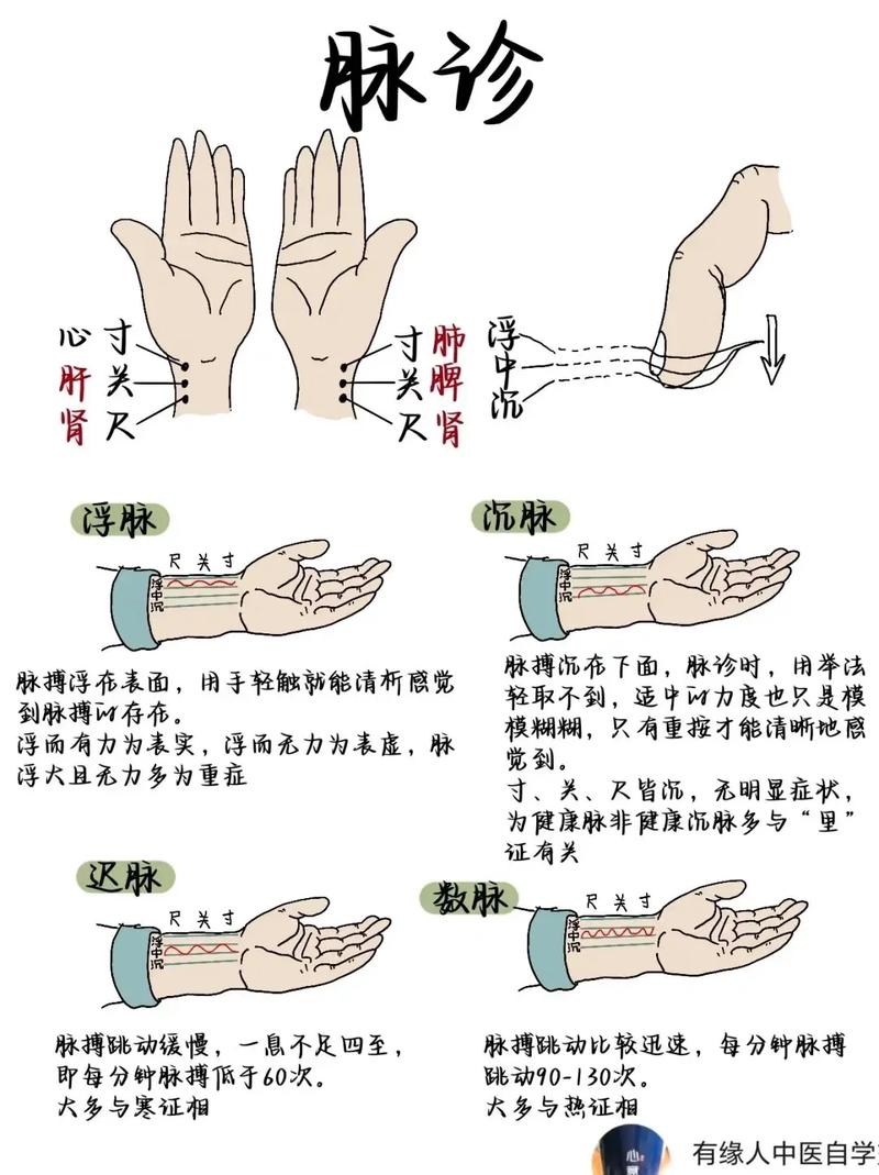 二、重难点——摸准学生的脉