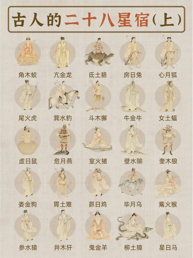 版本、品相和“玄学”
