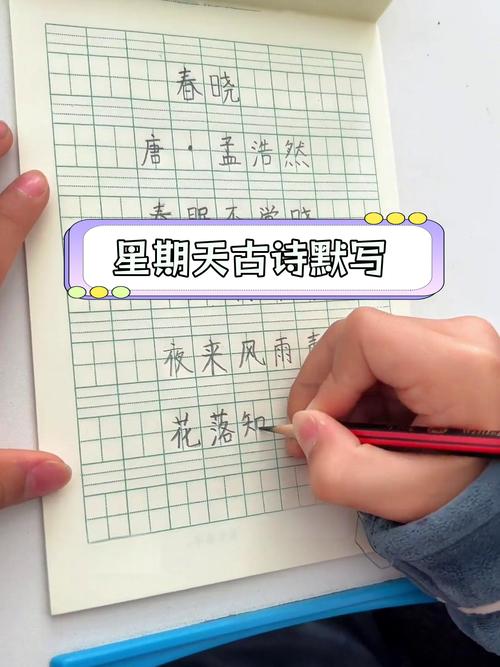 小学语文课堂《春晓》默写练习场景
