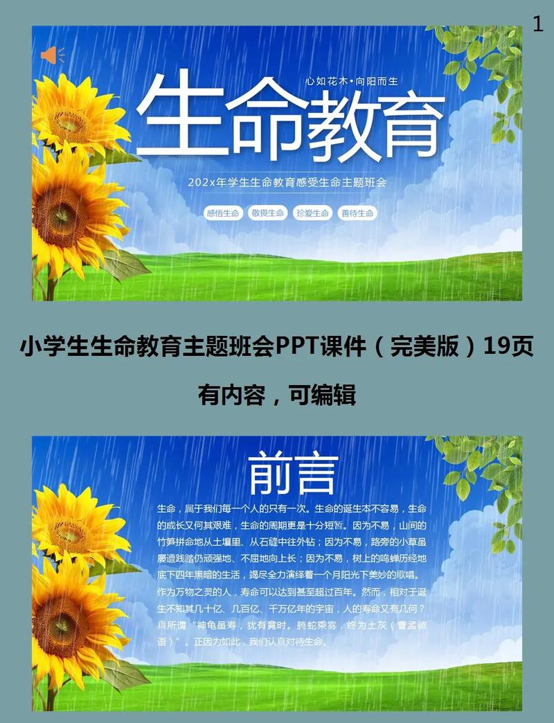 生命教育不用特意开课，藏在日常细节里