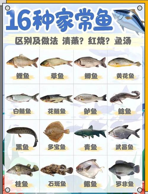 四、服务商生态:鱼龙混杂,怎么挑?