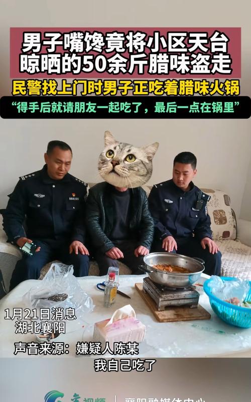 关于智慧，我有几句大实话想跟你唠唠-大讲堂