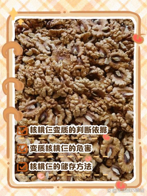 新鲜核桃仁与变质核桃仁对比细节图
