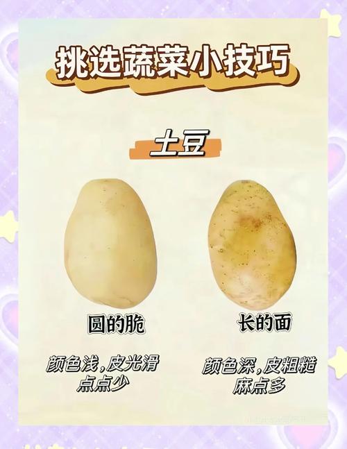 选型纠结症:哪个才是你的菜?