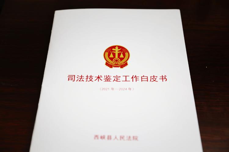 技术白皮书的法律精准画像