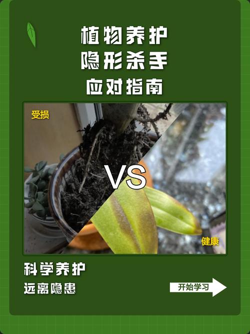 除了浇水,这些隐形杀手也很要命