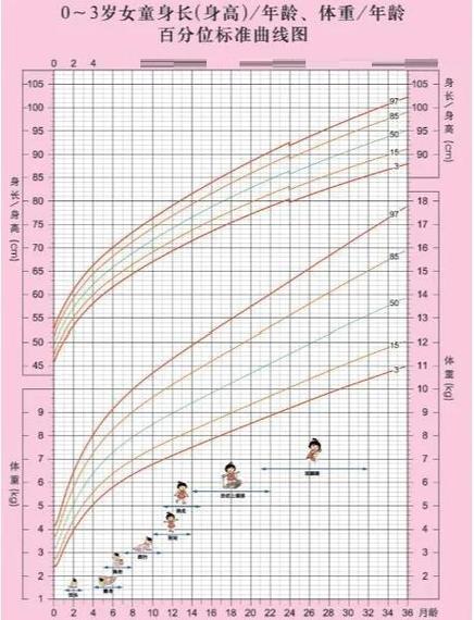 0-1岁宝宝内在生物钟发育阶段对比曲线图