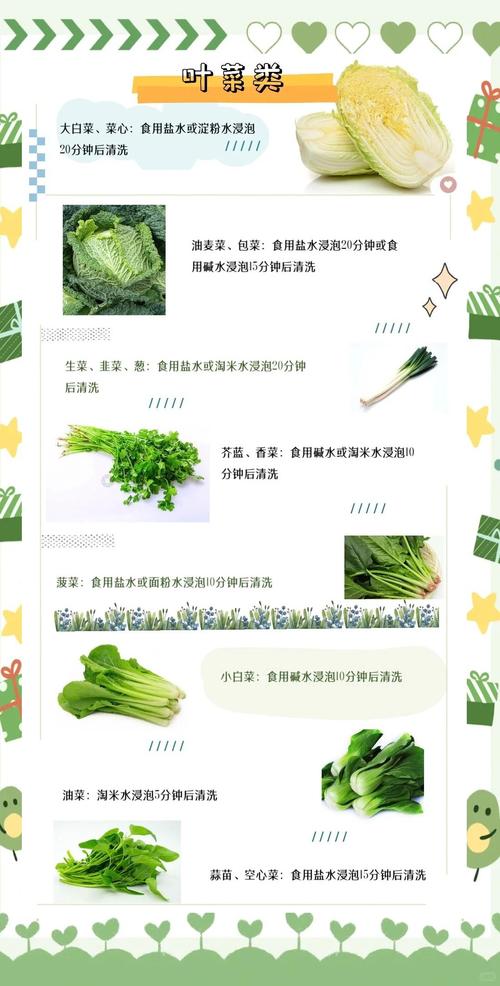 叶菜正确浸泡清洗方法步骤图