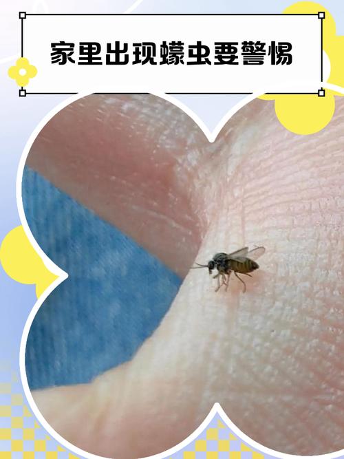 周期缝隙里的漏网之虫，最容易让人掉以轻心