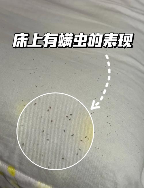 日常家用床上用品螨虫沉积示意图