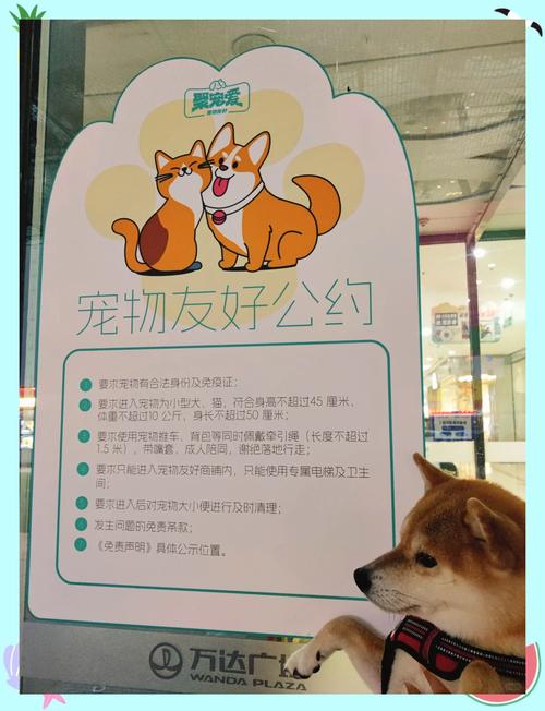 宠物友好，最终受益的是工厂自己