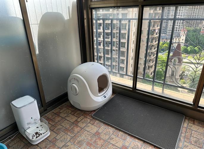 猫砂盆紧邻自动喂食器和水碗的错误摆放实拍图