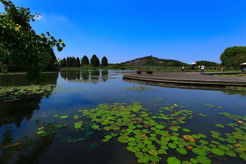 南漳漳河鼋头渚临水山嘴夏季景观