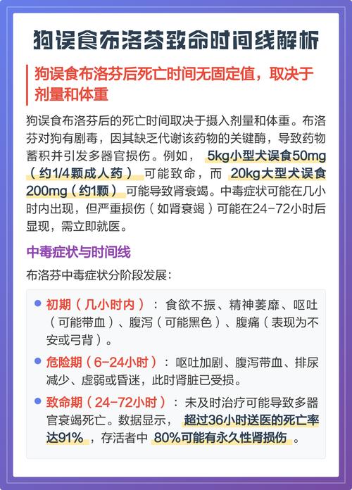 宠物误食中毒急救步骤时间线图
