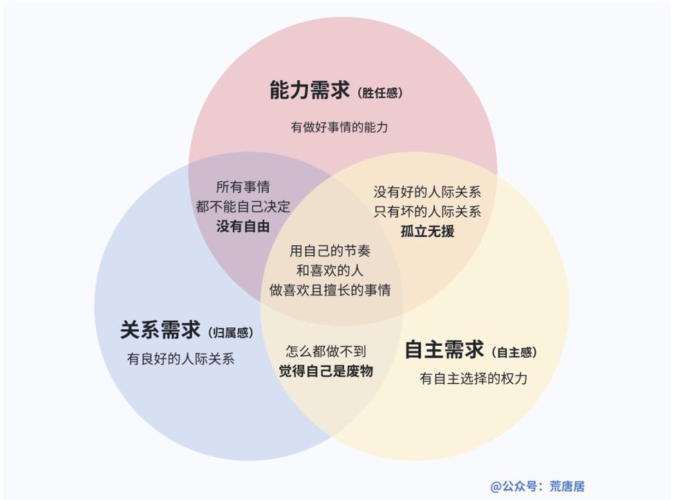 自我决定理论三种基本心理需求示意图