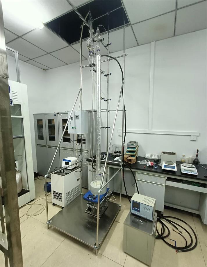 新一代石油化工技术（非敏感）：从减碳到提效的破局之路