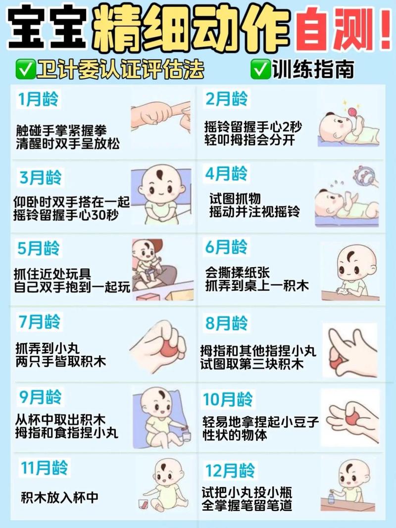 0-12月龄宝宝精细动作发育分解示意图