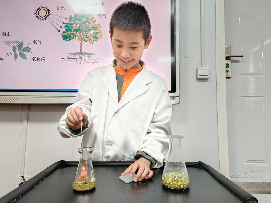 小学生围坐实验桌探究植物生长