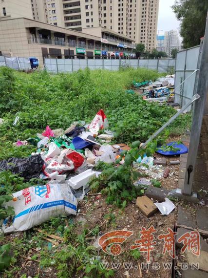 老小区围墙边长满杂草的建筑垃圾堆