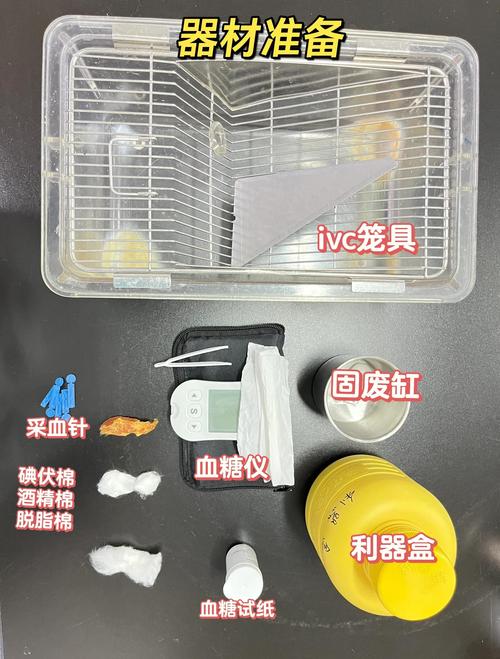 家用宠物血糖检测工具套装