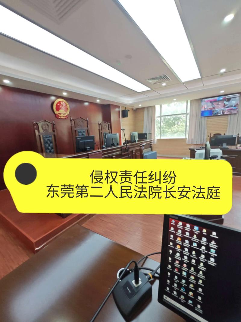 法庭上侵权责任免责事由证据展示照片