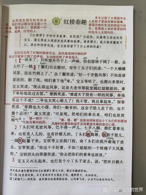 人教版小学语文五年级《红楼春趣》课文插页
