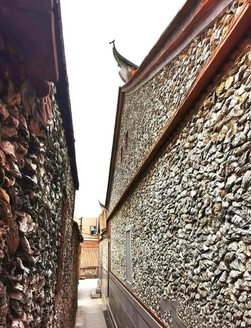 三、蟳埔渔村:蚵壳厝的肌理秩序