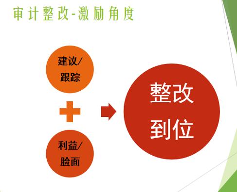 从审计到落地，中间隔着一百个借口